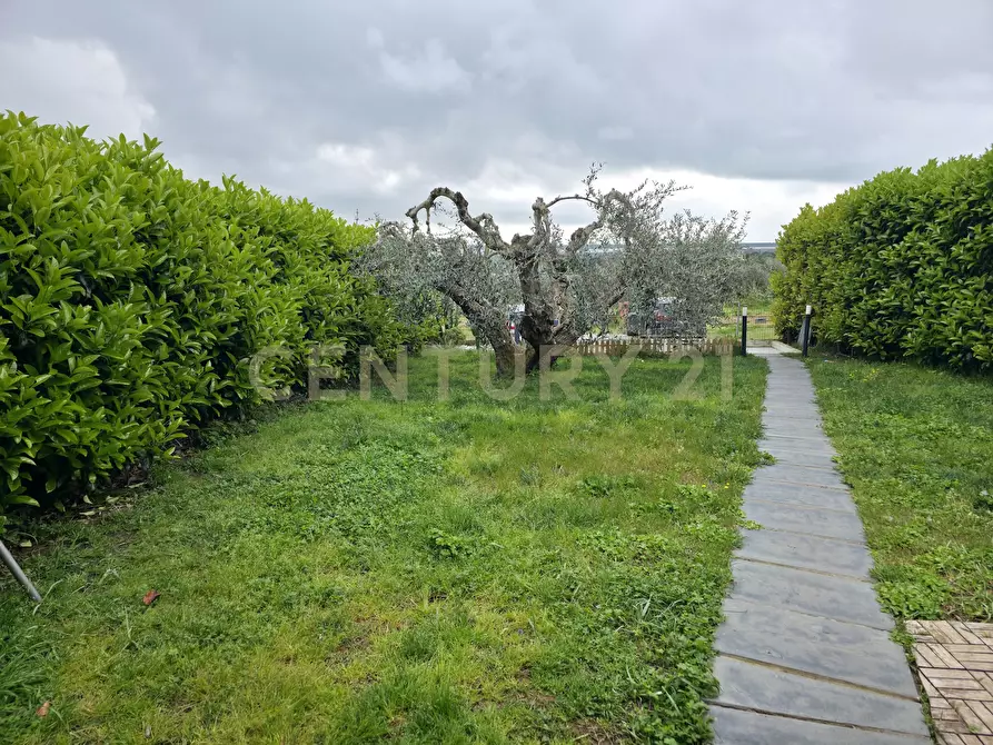 Immagine 32 di Casa trifamiliare in vendita  in Via della Vigna a Castiglione Della Pescaia