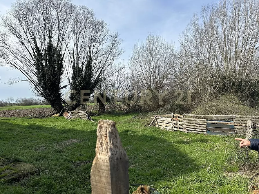 Immagine 13 di Rustico / casale in vendita  in Argine San Lorenzo 11 a Ostiglia