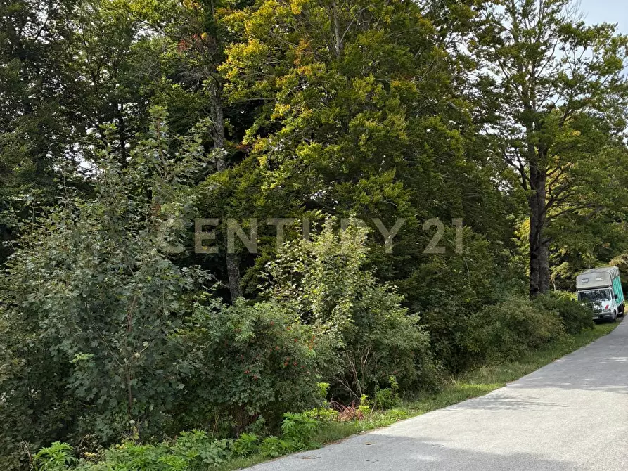 Immagine 5 di Casa indipendente in vendita  in Via morbano a Cappadocia