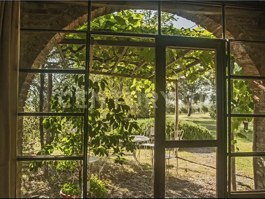 Immagine 41 di Rustico / casale in vendita  in località podere dogana a Roccastrada