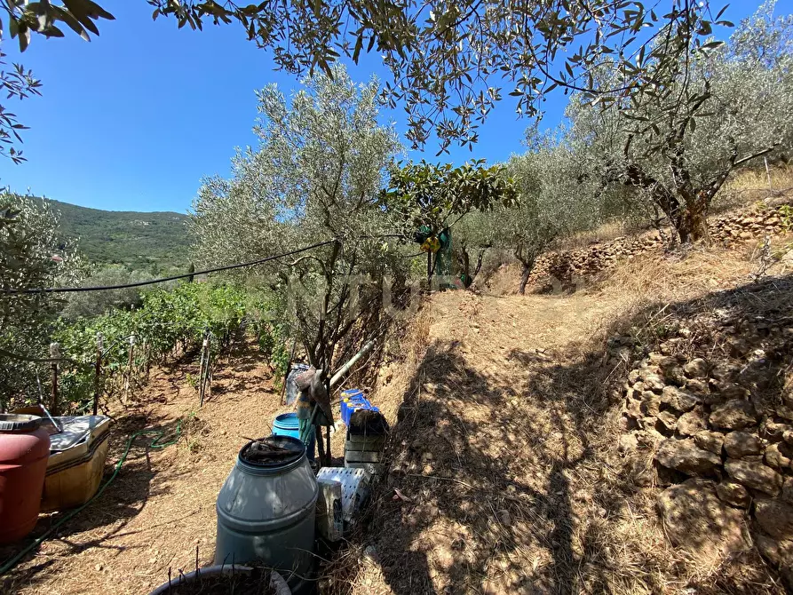 Immagine 5 di Rustico / casale in vendita  in Via del Campone 68A a Monte Argentario