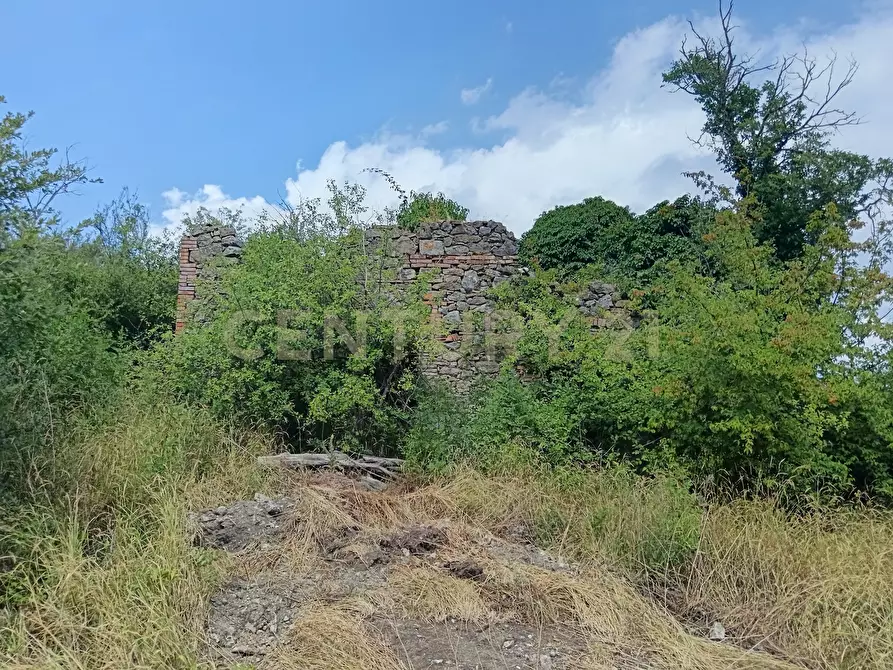 Immagine 9 di Terreno edificabile in vendita  in Località Podere Scarpetta 90 a Radicofani