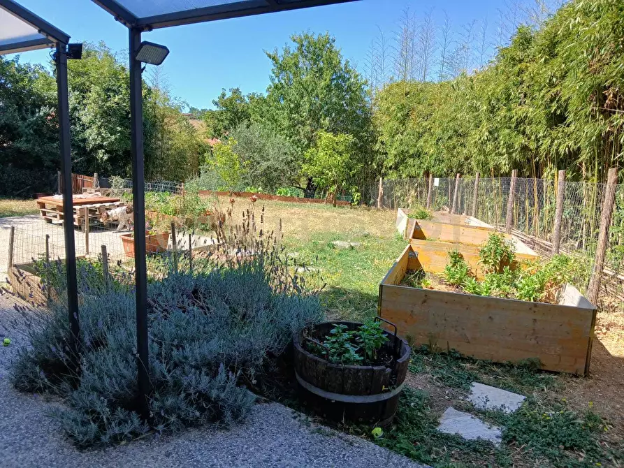 Immagine 6 di Villa in vendita  in Località Poggio Murella 165 a Manciano