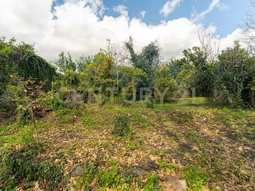 Immagine 19 di Terreno agricolo in vendita  in via giuseppe zinghirino 1 a Giarre