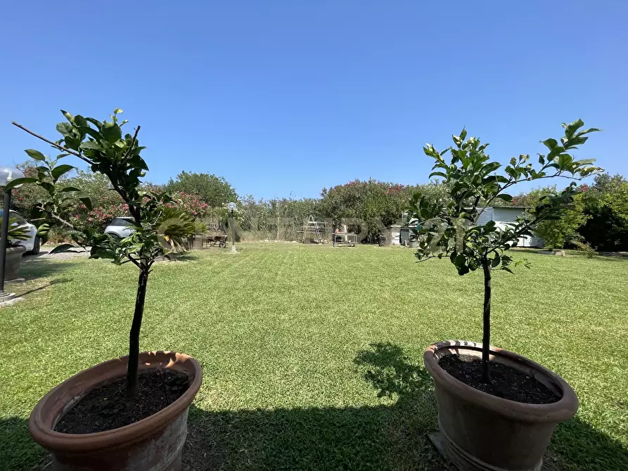 Immagine 7 di Terreno agricolo in vendita  in Strada Provinciale della Giannella a Orbetello