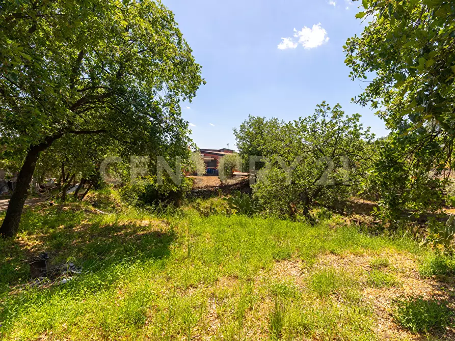 Immagine 84 di Villa in vendita  in SS284 a Adrano