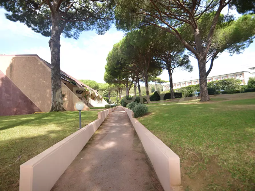 Immagine 32 di Appartamento in vendita  a Castiglione Della Pescaia