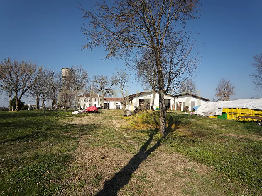Immagine 36 di Rustico / casale in vendita  in Via Trento 70 a Minerbe