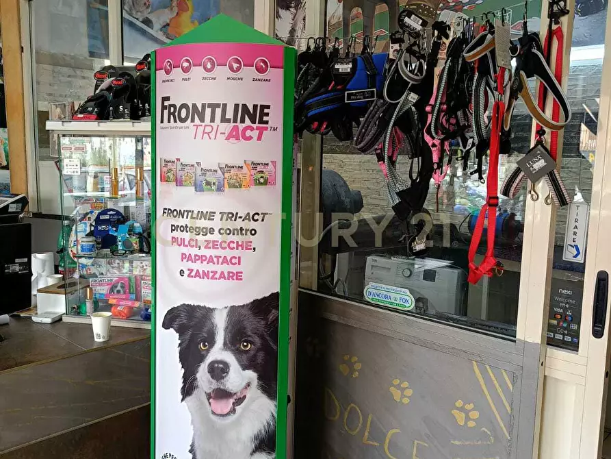 Immagine 4 di Attività artigianale in vendita  a Catania