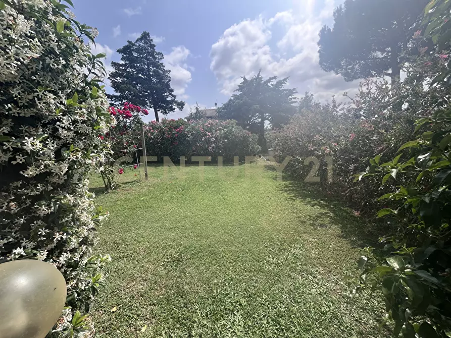 Immagine 5 di Rustico / casale in vendita  in Via Case Sparse a Scansano