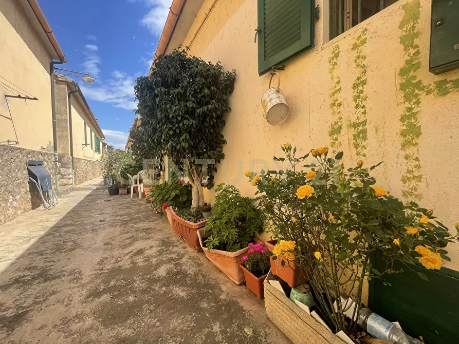 Immagine 5 di Trilocale in vendita  in Via delle Pile 29 a Monte Argentario