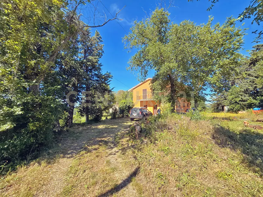 Immagine 23 di Rustico / casale in vendita  in Strada Provinciale Aquilaia a Scansano