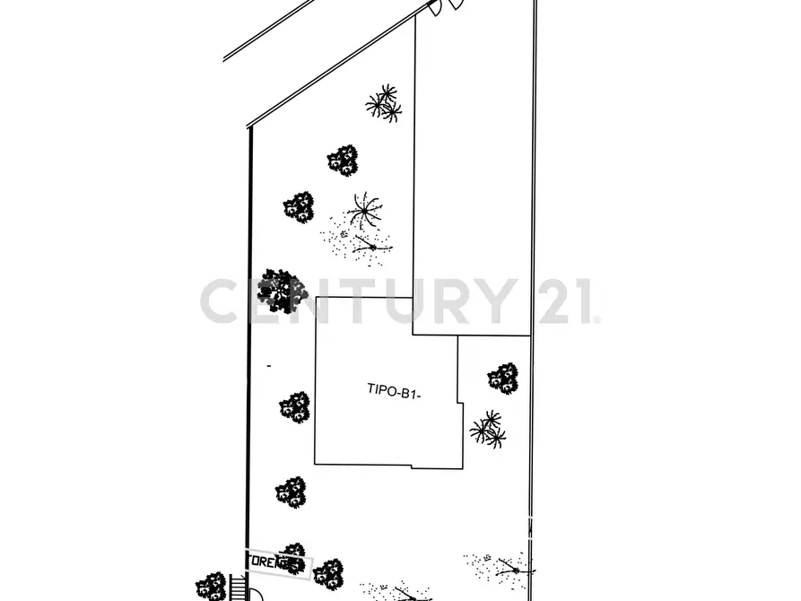 Immagine 3 di Casa indipendente in vendita  in Via Scuderi 5F a Viagrande