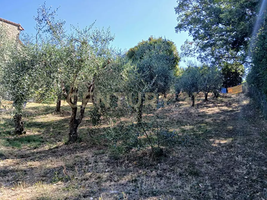 Immagine 38 di Villa in vendita  in Località Poggio Murella 165 a Manciano