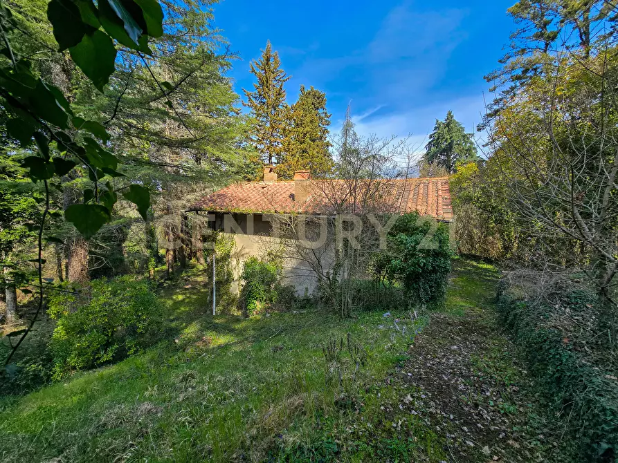 Immagine 30 di Rustico / casale in vendita  in Strada Provinciale 7 a Cinigiano