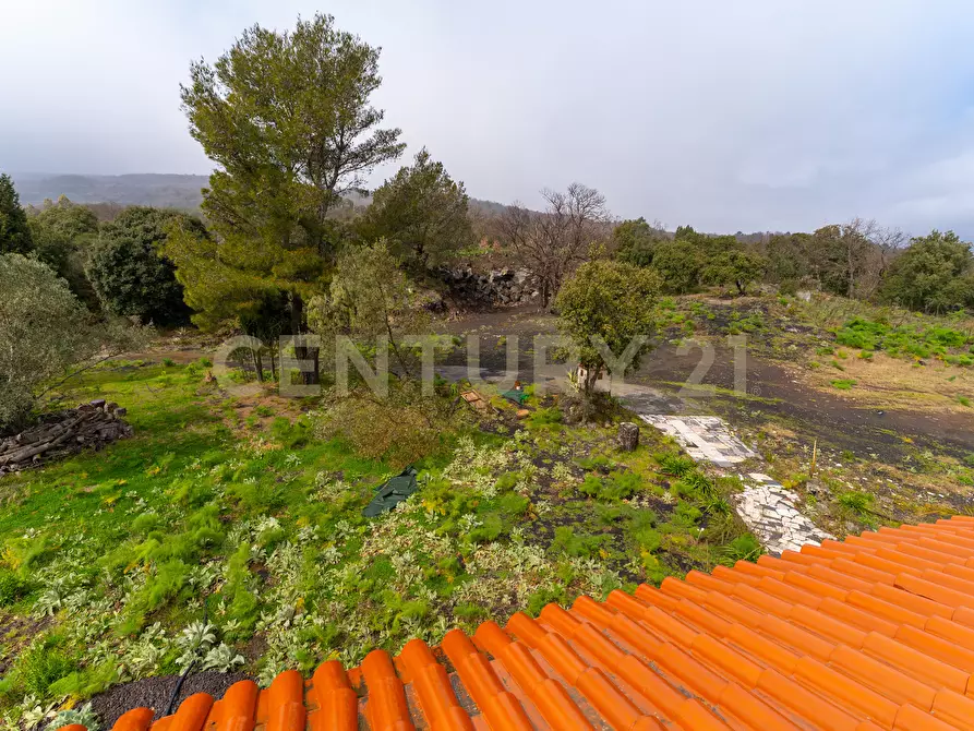 Immagine 12 di Terreno edificabile in vendita  in Via Nocille 55 a Mascali