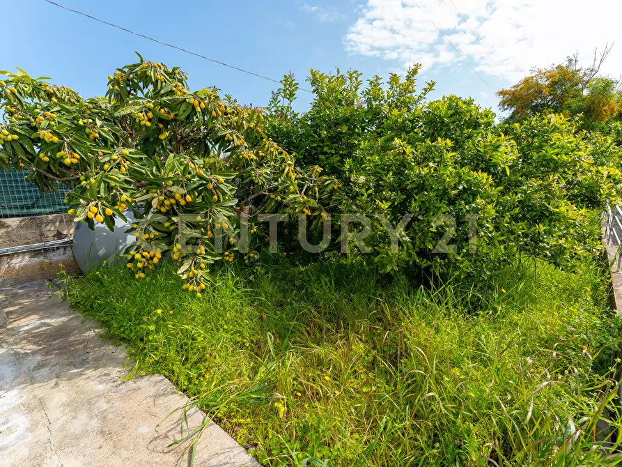 Immagine 38 di Casa indipendente in vendita  in Viale Ionio 96c a Augusta