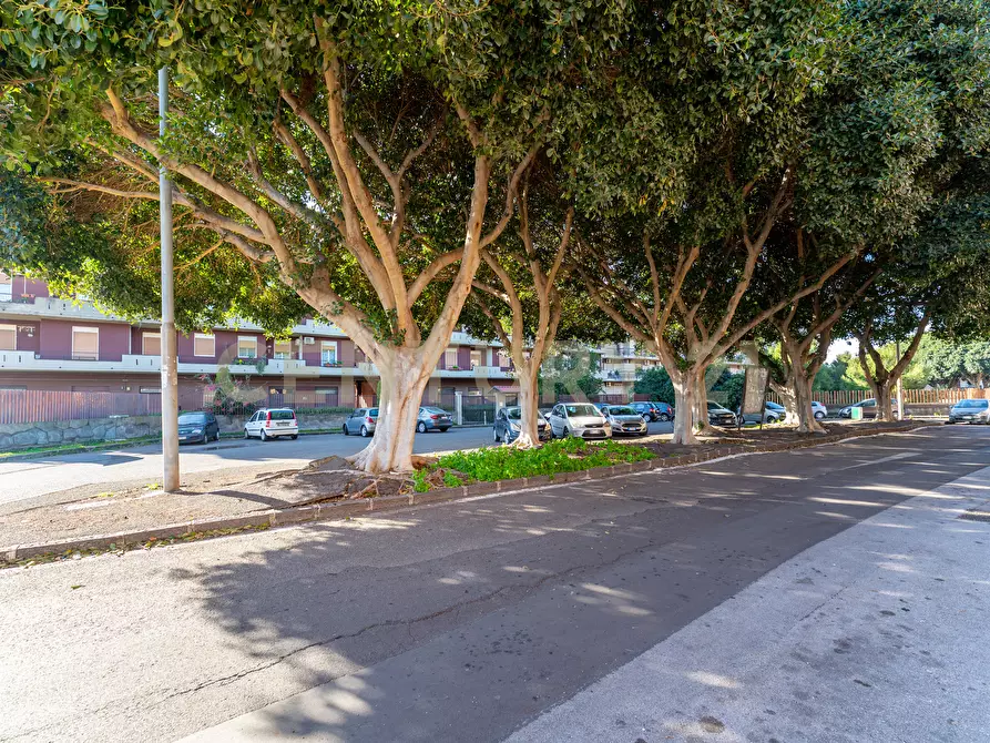 Immagine 35 di Trilocale in vendita  in Via beata giovanna jugan 15 a Catania