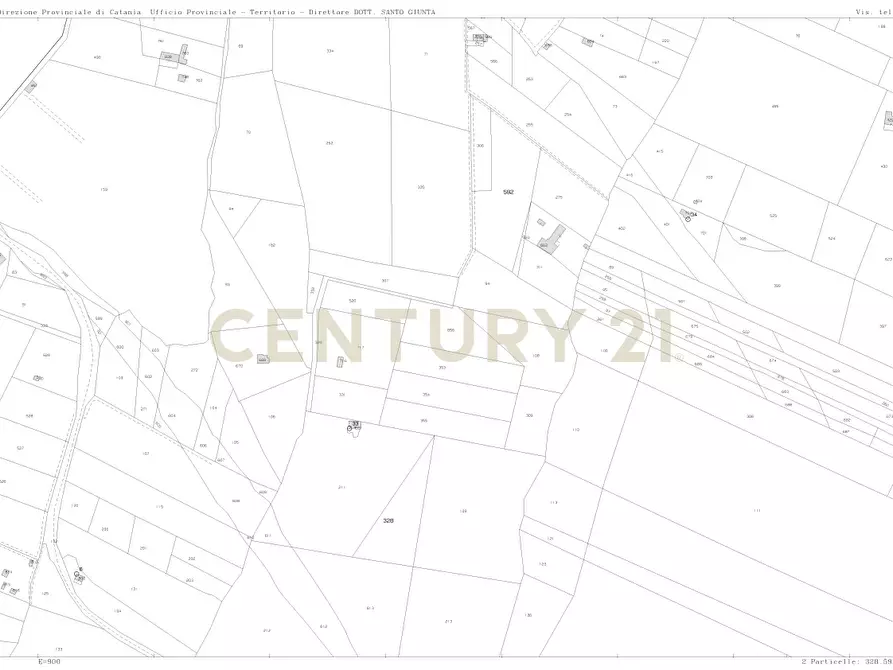 Immagine 25 di Terreno agricolo in vendita  in Contrada malvezzaro a Santa Maria Di Licodia