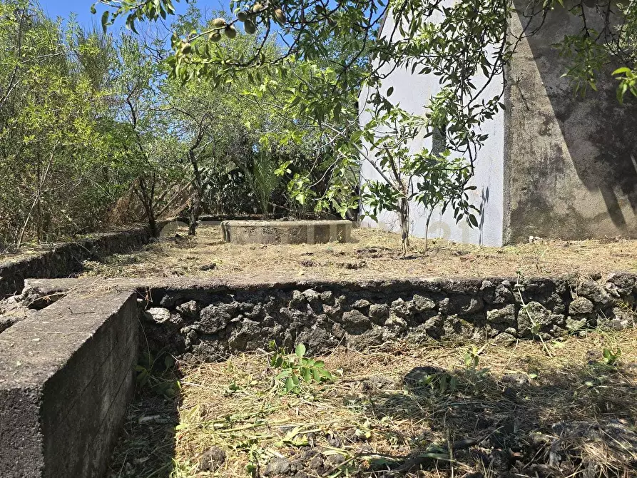 Immagine 2 di Villa in vendita  in Via Panebianco 20 a Castiglione Di Sicilia