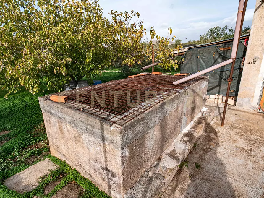 Immagine 4 di Terreno agricolo in vendita  in Contrada San Francesco snc a Paterno'