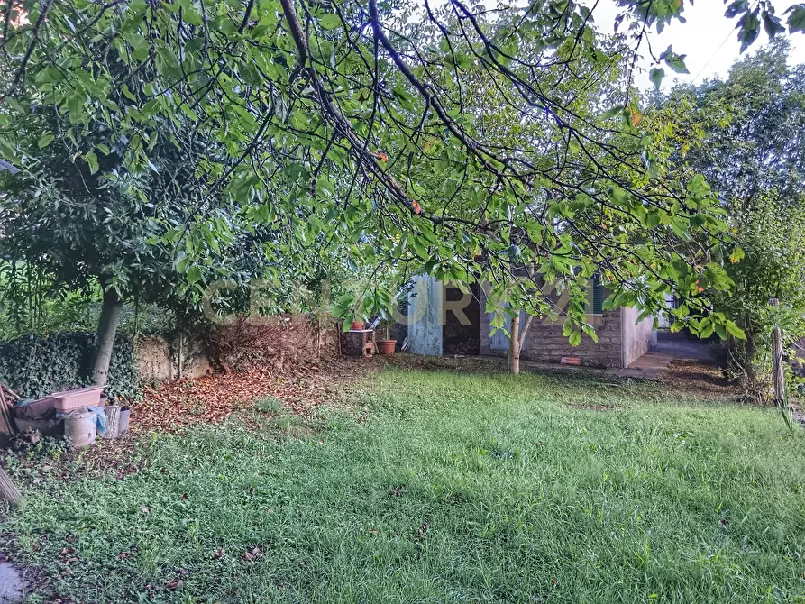 Immagine 1 di Rustico / casale in vendita  in Via del Parco 27 a Santa Fiora