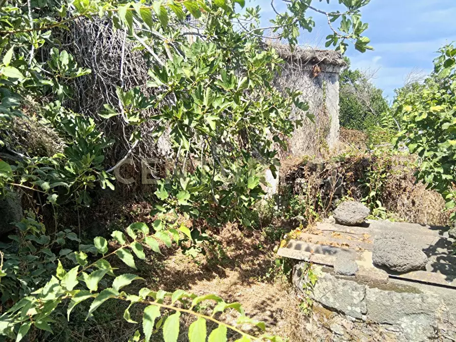 Immagine 20 di Rustico / casale in vendita  in Via Maugeri 12 a Valverde