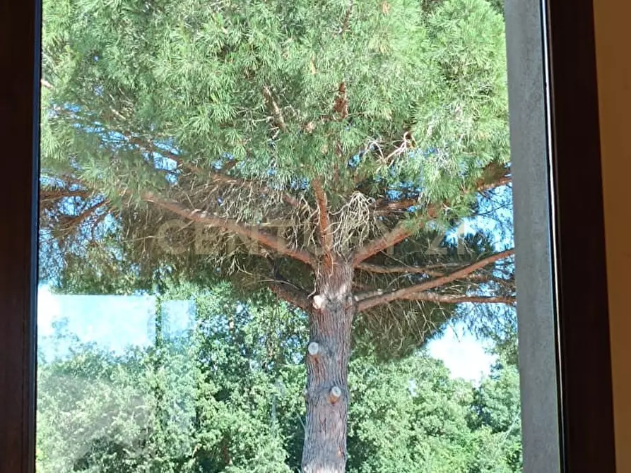 Immagine 18 di Rustico / casale in vendita  a Manciano