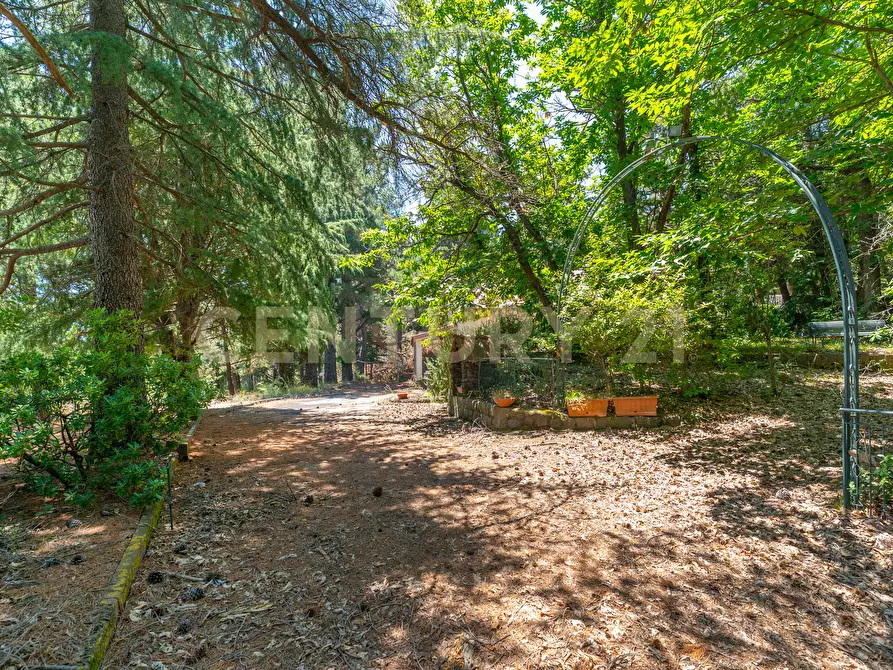 Immagine 5 di Villa in affitto  in Strada Regionale Mareneve SNC a Linguaglossa