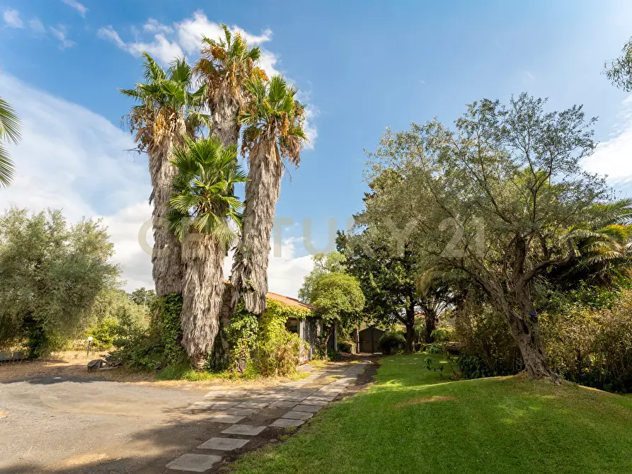 Immagine 12 di Villa in vendita  in Via Pulei 25 a Mascalucia