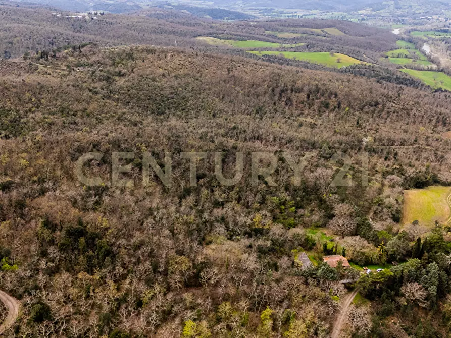 Immagine 4 di Rustico / casale in vendita  in sasso d'ombrone a Cinigiano