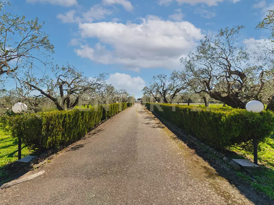 Immagine 3 di Villa in vendita  in Strada Comunale Calderara 5 a Randazzo