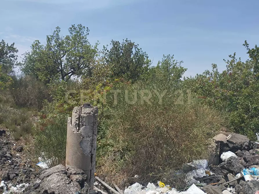 Immagine 3 di Terreno agricolo in vendita  in CONTRADA MANGIONE snc a Catania