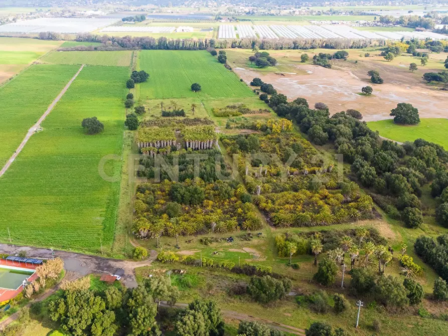 Immagine 12 di Terreno agricolo in vendita  in Via Lerici a Nettuno