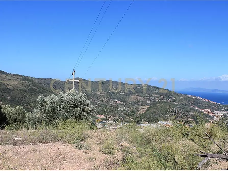 Immagine 9 di Rustico / casale in vendita  in via cannatelli 56 a Monte Argentario