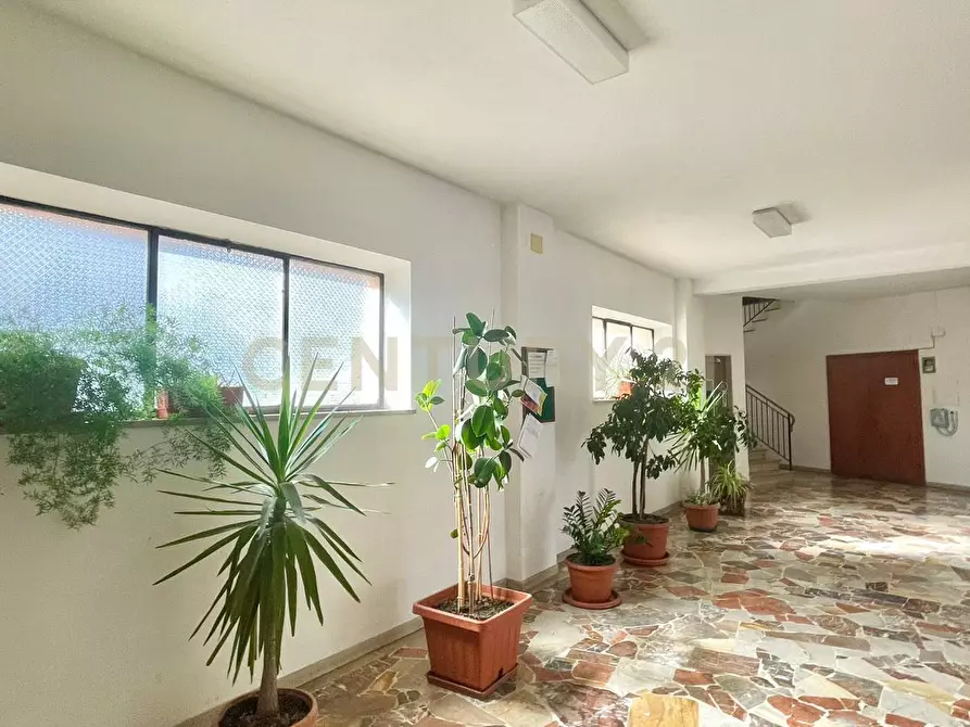 Immagine 12 di Quadrilocale in vendita  in Piazza Giovanni Fabbrini a Grosseto