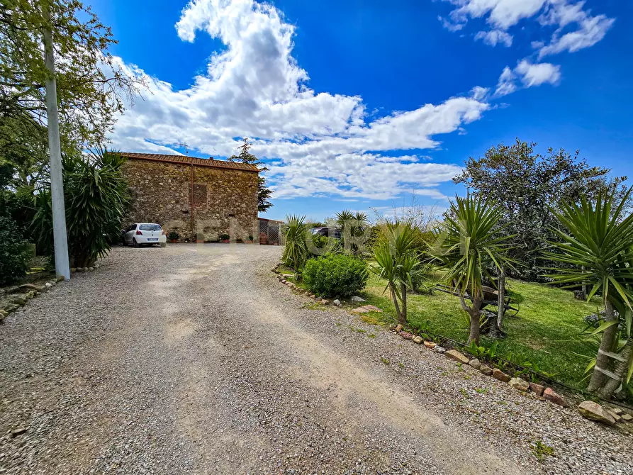Immagine 11 di Rustico / casale in vendita  in podere poderina 5 a Civitella Paganico