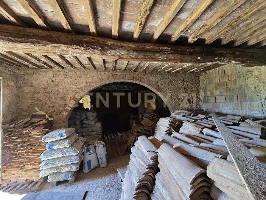 Immagine 19 di Rustico / casale in vendita  in Via di Lattaia a Roccastrada