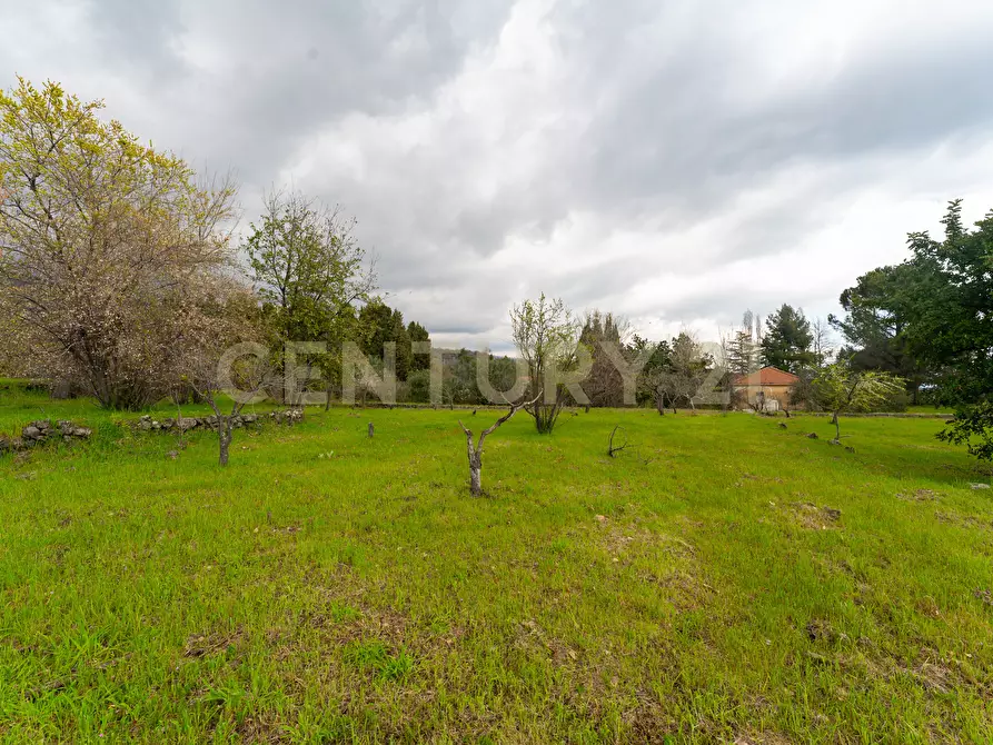 Immagine 38 di Casa indipendente in vendita  in Via Armando Diaz 83 a Zafferana Etnea