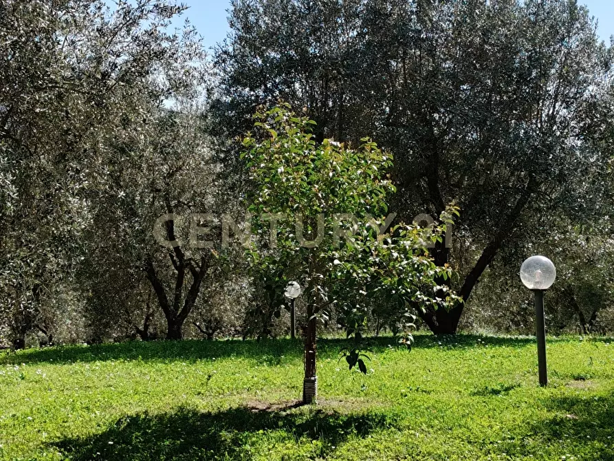 Immagine 15 di Rustico / casale in vendita  in località spinicci snc a Manciano