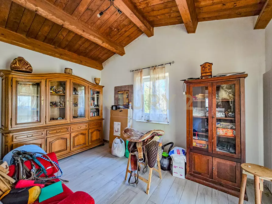 Immagine 13 di Rustico / casale in vendita  in poggio murella a Manciano