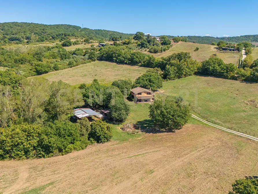 Immagine 32 di Rustico / casale in vendita  in località san quirichello a Barbarano Romano