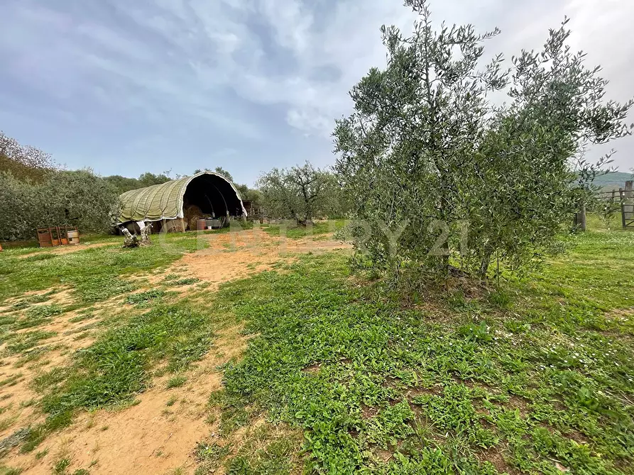 Immagine 10 di Casa indipendente in vendita  in Strada del Priorato a Orbetello