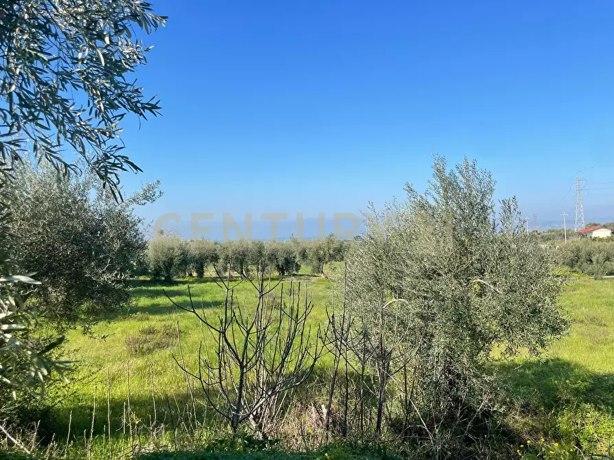 Immagine 16 di Terreno agricolo in vendita  in contrada agnelleria a Belpasso