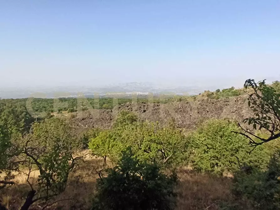 Immagine 21 di Terreno agricolo in vendita  in C.da Filiciusa a Biancavilla