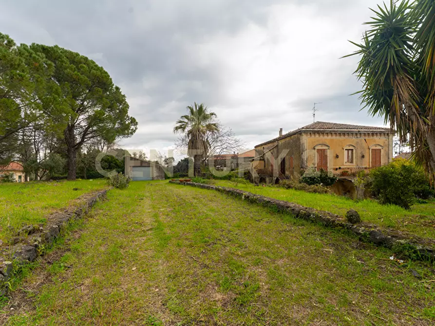 Immagine 2 di Casa indipendente in vendita  in Via Armando Diaz 83 a Zafferana Etnea