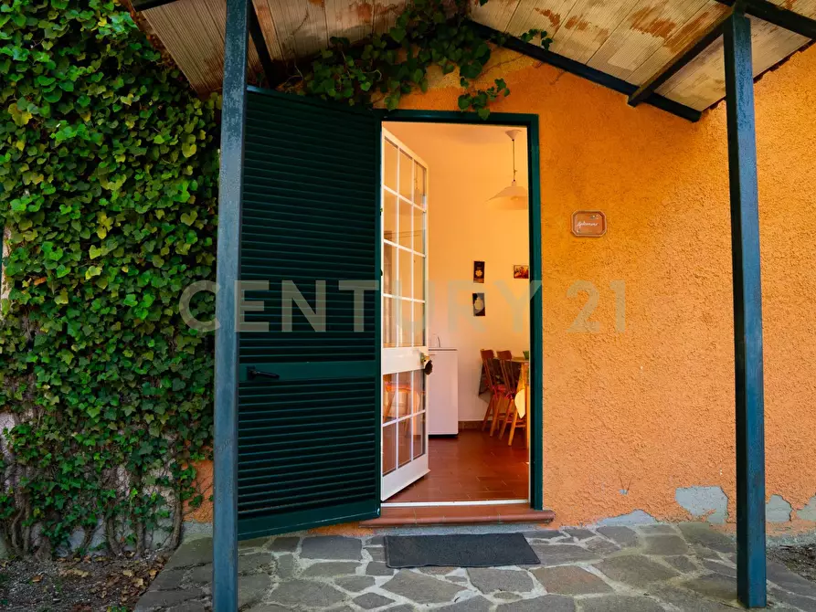 Immagine 31 di Rustico / casale in vendita  a Cinigiano