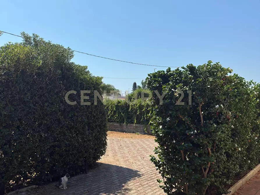 Immagine 25 di Villa in vendita  in Via Blanco 4 a Siracusa