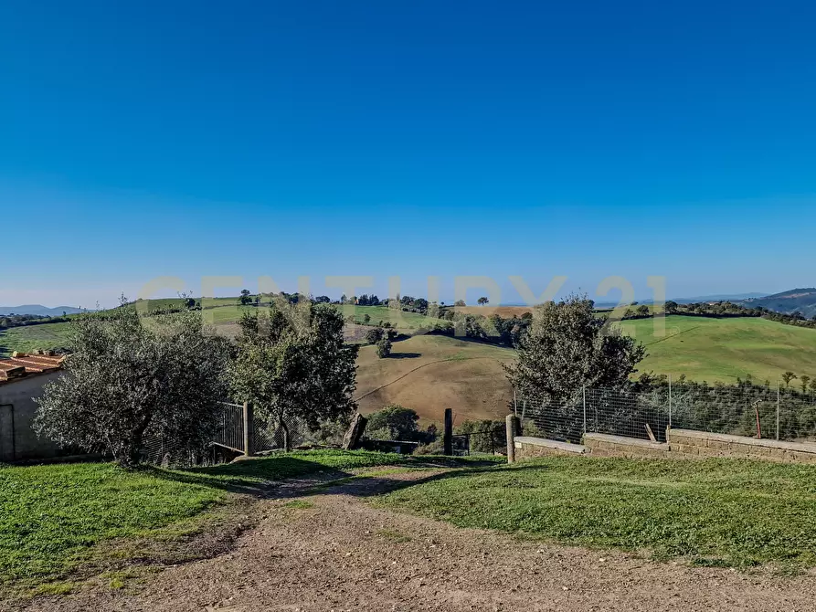 Immagine 30 di Rustico / casale in vendita  in Loc. Poderi di Montemerano a Manciano