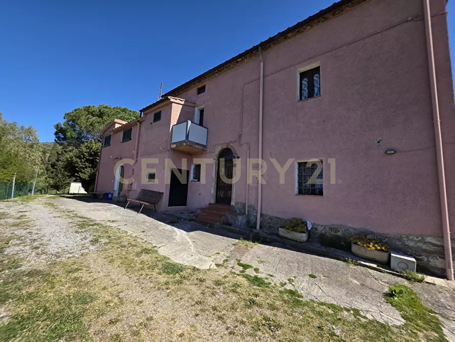 Immagine 30 di Rustico / casale in vendita  in località cesi a Gavorrano